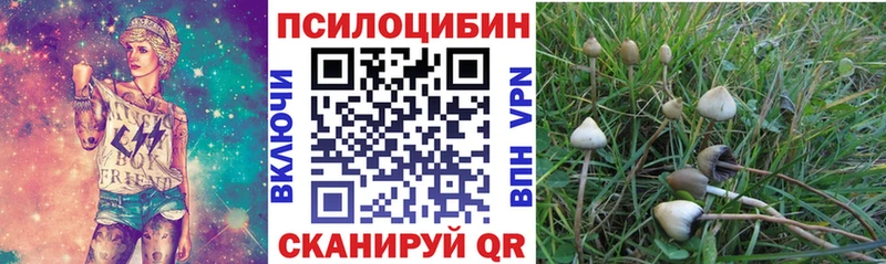 Галлюциногенные грибы MAGIC MUSHROOMS  hydra как зайти  Десногорск 